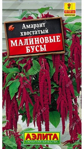 Аэлита амарант Малиновые бусы