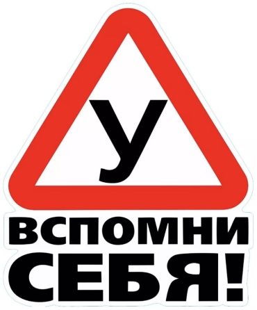 Наклейка "У" (Ученик) L2 17x14 см