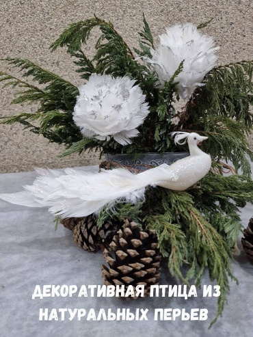 Павлин из натуральных перьев перья 1 шт, белый