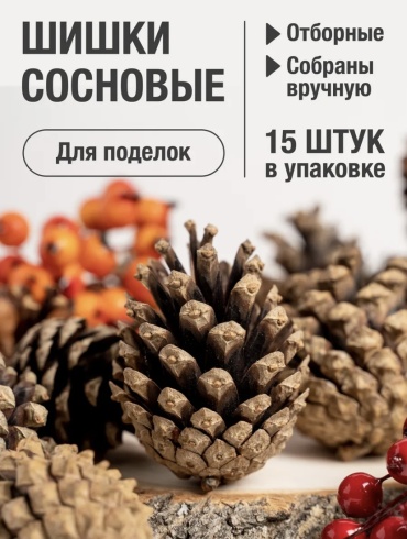 Набор Шишки сосновые, набор 15 штук