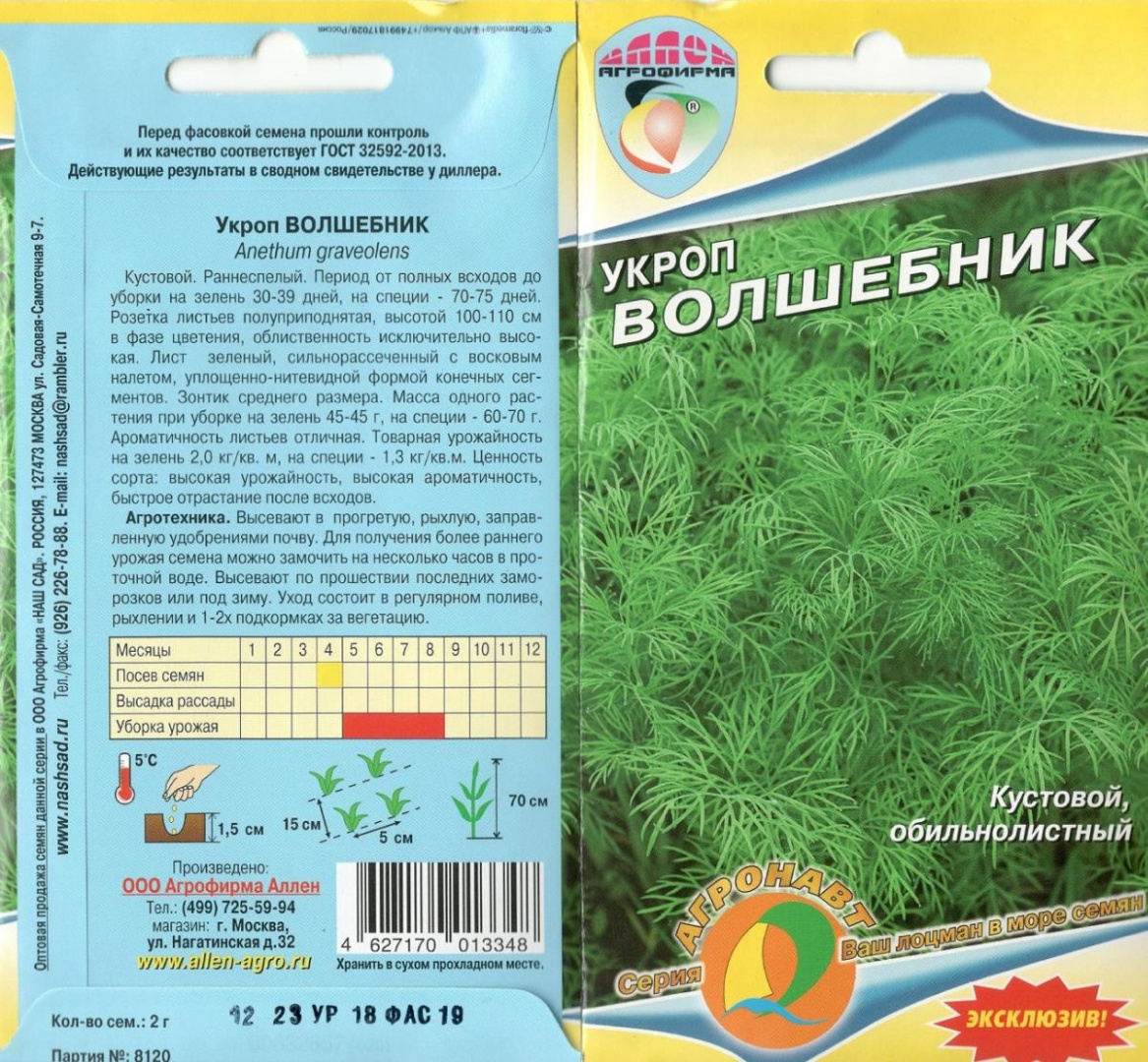 Укроп Волшебник