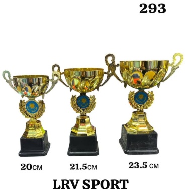 Кубок LRV SPORT Комплект 293