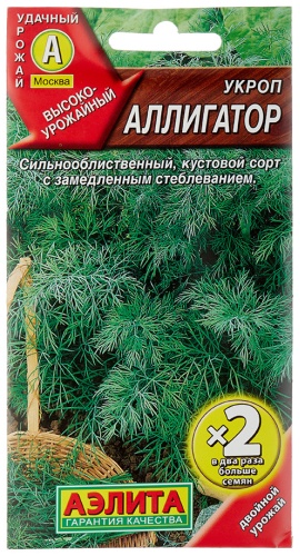 Аэлита укроп Аллигатор