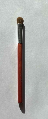 Dienmy 310 1