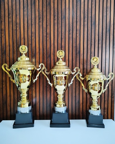 Golden Cup кубок Комплект "Триумф"