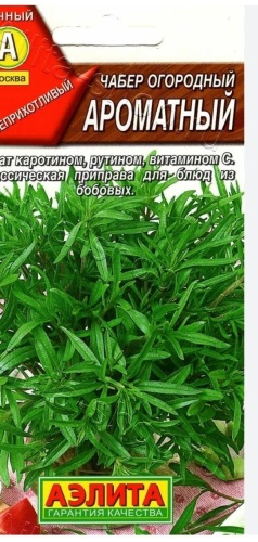 Аэлита чабер Ароматный