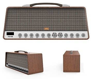 Soundking TG10D Brown