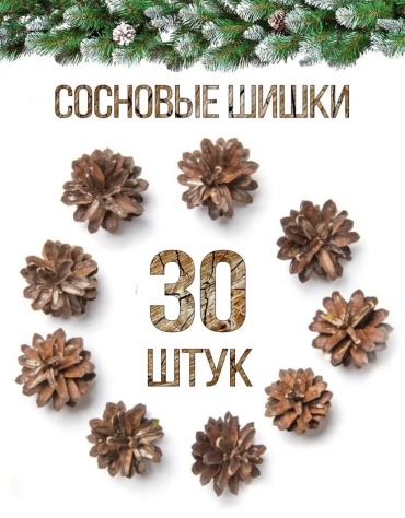Шишки сосновые 30 шт