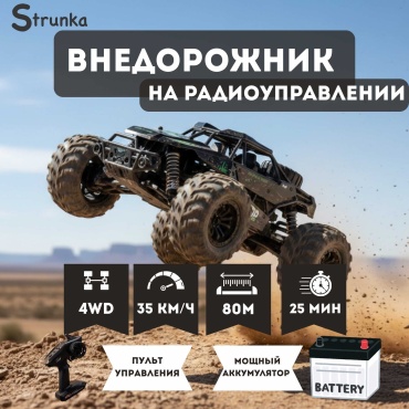 Машинка Багги на радиоуправлении Strunka HW8808