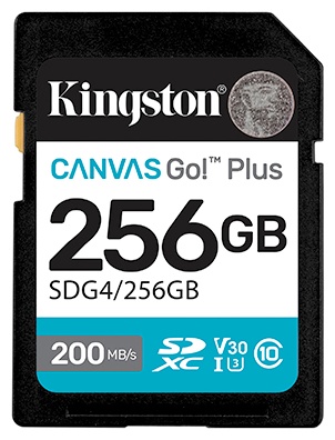 Kingston Secure Digital XC SDG4/256GB 256 Гб