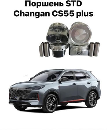 Changli поршень NE15T0031070