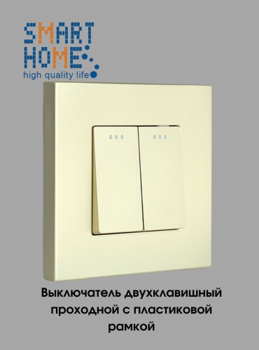 Выключатель клавишный SMART HOME MP005_P2-1F_GD, золотистый