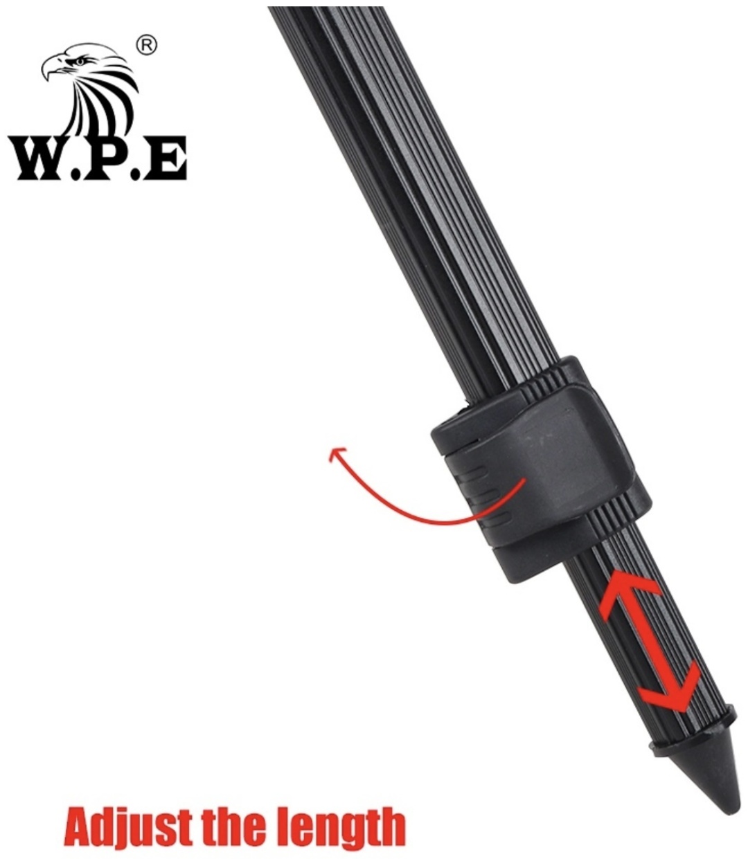 Flagman WPE ZDEVA 10