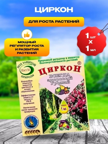 Циркон