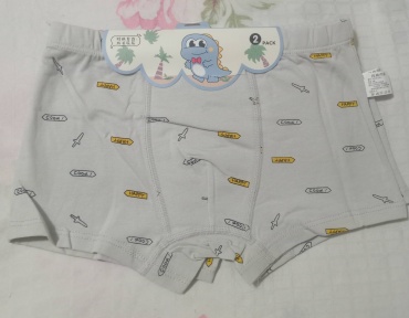 Боксеры Elmas kids серебристый