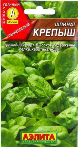 Аэлита шпинат Крепыш