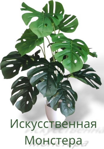 МИА монстера 70 см, 401881951