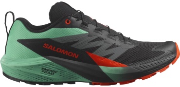 Треккинговые кроссовки Salomon зеленый, черный