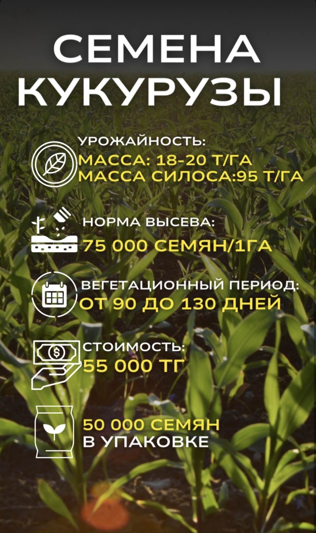 Electus кукуруза 20000 г