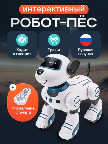 Робот Balazhan Toys Собака Дружок на пульте управления, высота 25 см