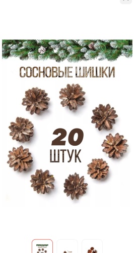 Шишки 6 см