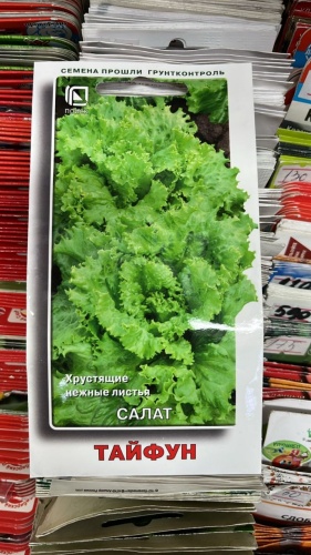 Поиск салат Тайфун