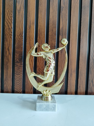 Golden Cup трофей Волейбол Подающий мини