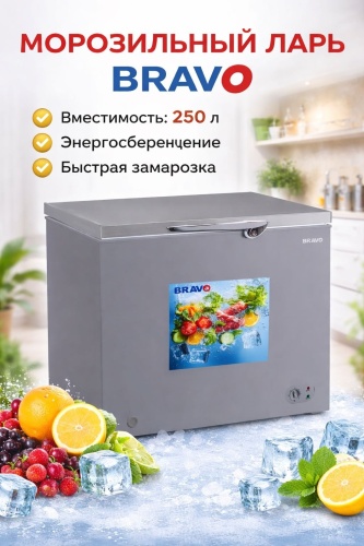 Bravo BF-250(S) 210 л серый