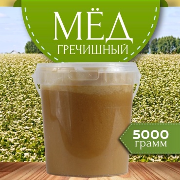 Апивита мед гречишный 5000 г