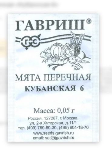 Гавриш мята Кубанская