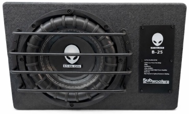 Сабвуфер RS Audio E-5 10