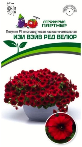 Партнер петуния ИЗИ ВЭЙВ РЕД ВЕЛЮР