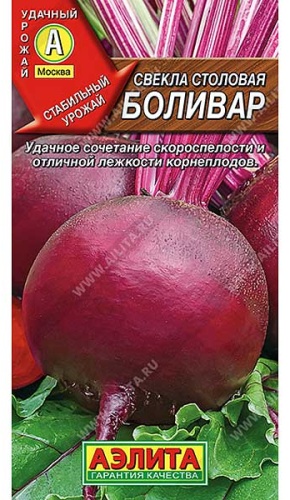 Аэлита свёкла Боливар