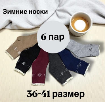 Носки SPEED WIN 6 пар мультиколор 36-41