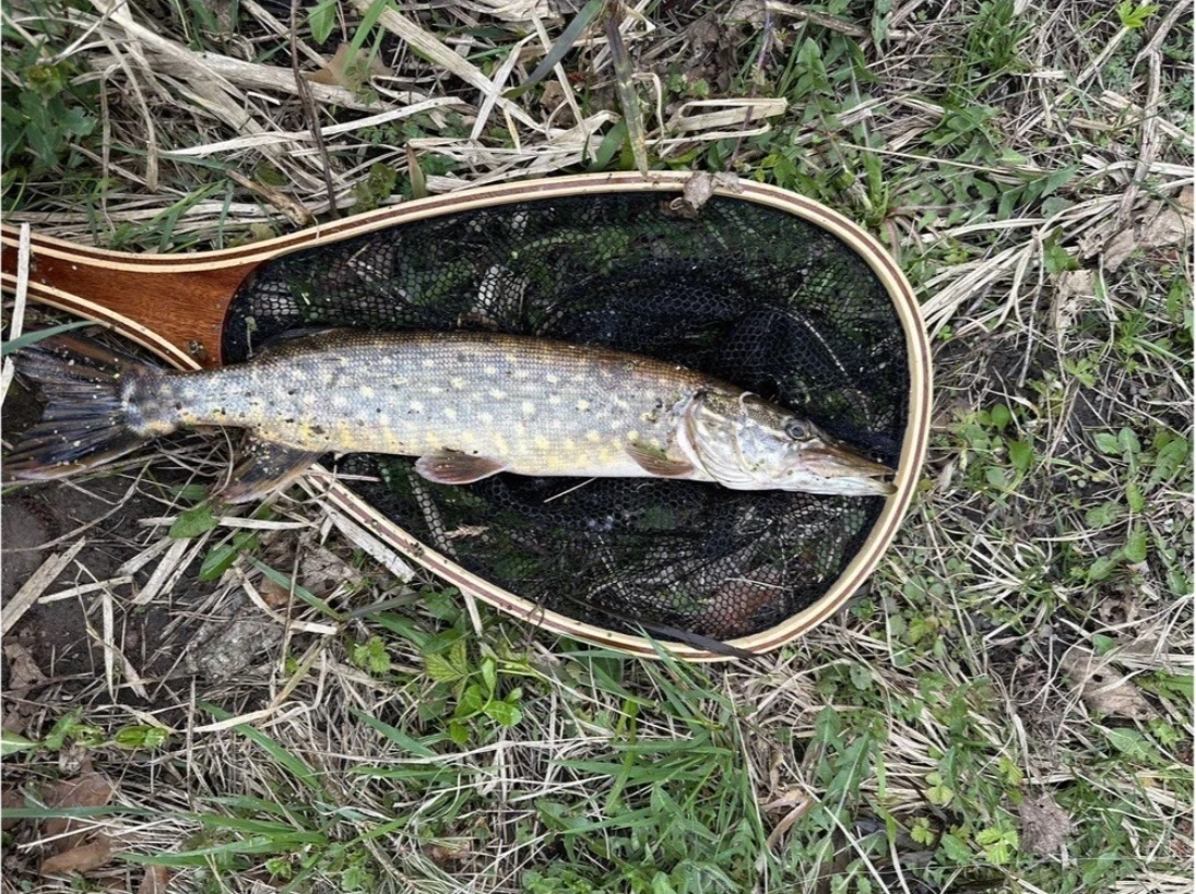 Outdoor LFS набор приманок Набор приманок Кастмастер блесна 7- 21г