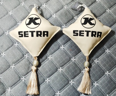 Подвеска setra