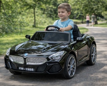 AmiVi AVM 1588 черный