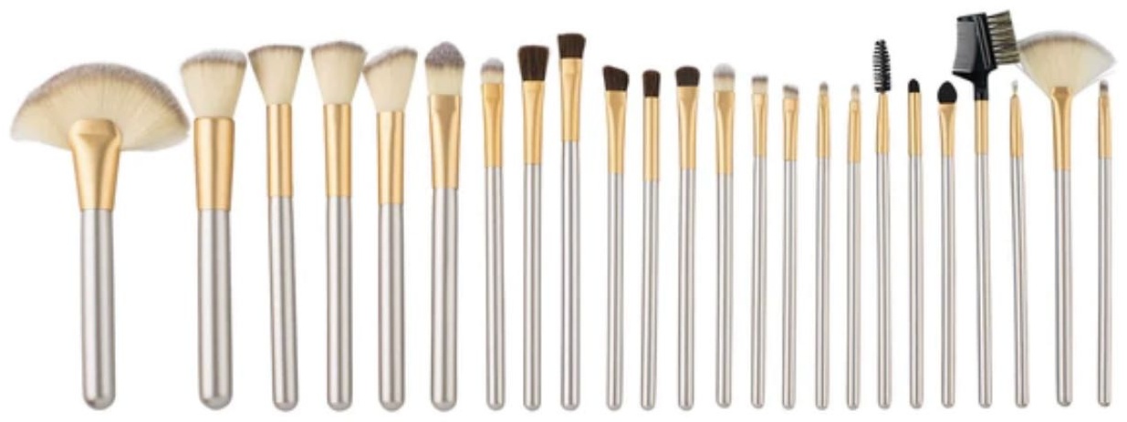 Brush set 24