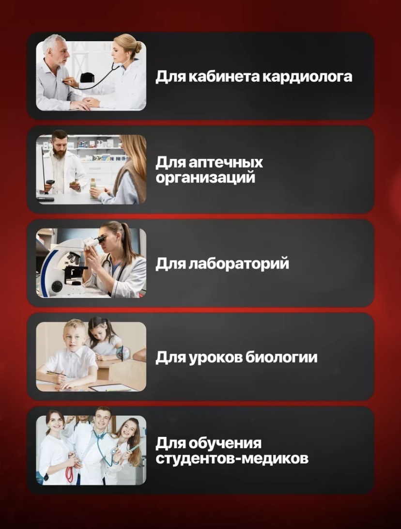 Модель сердца пластик