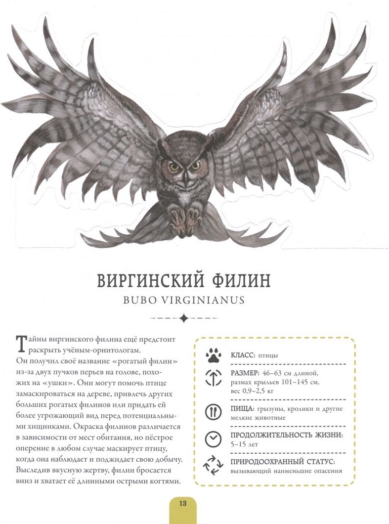 Книга Баттерфилд Мойра: Животные
