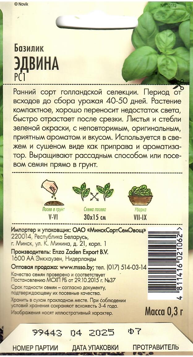МинскСортСемОвощ базилик Эдвина