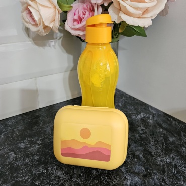Tupperware ланч-бокс И116. В107 2 шт, полипропилен