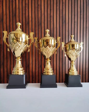 Golden Cup кубок Комплект "Викинг"