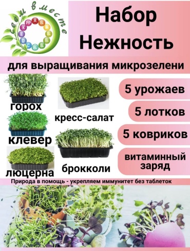 Сеем Вместе Набор микрозелени «Нежность»