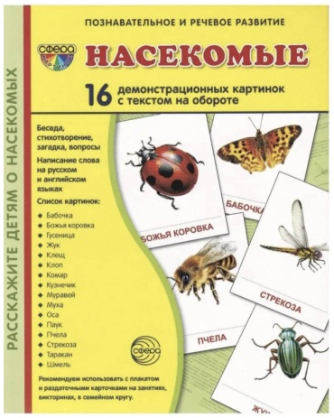 Обучающие карточки Насекомые, А5, картон