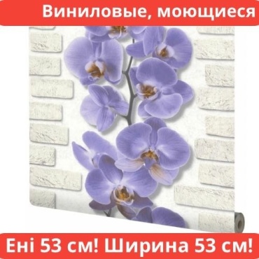 АСПЕКТ РУ 10107-46 (0.53x10.05)