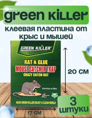 Green Day 018202 100