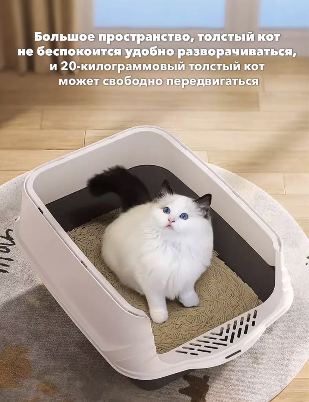 Лоток