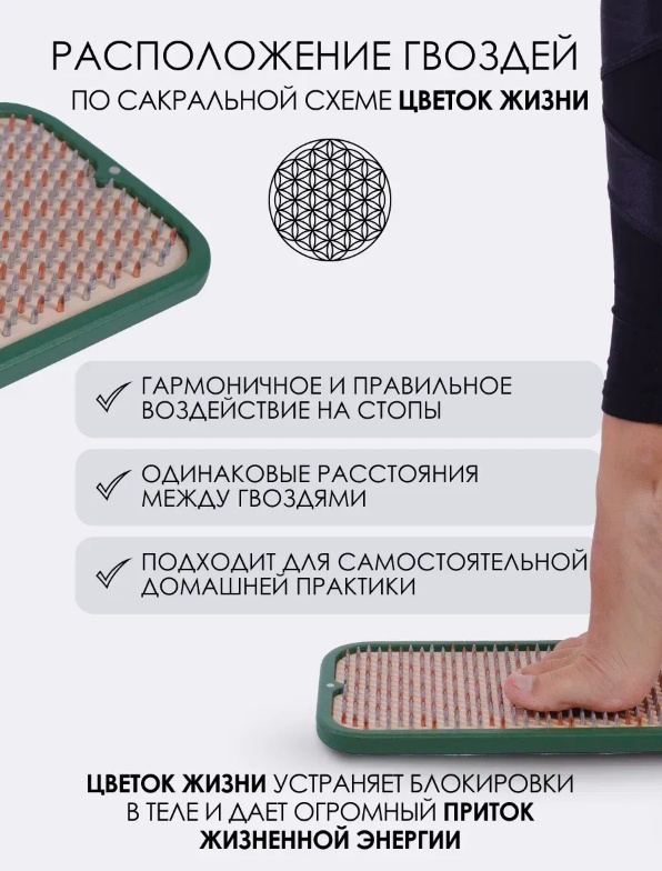30320484_808473375 7