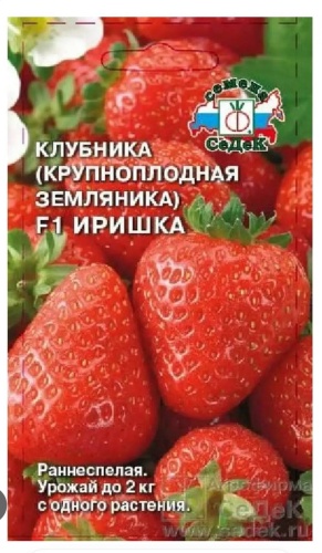 СеДеК клубника Иришка